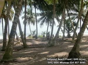 Beach Front Land