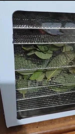 Dehydrator