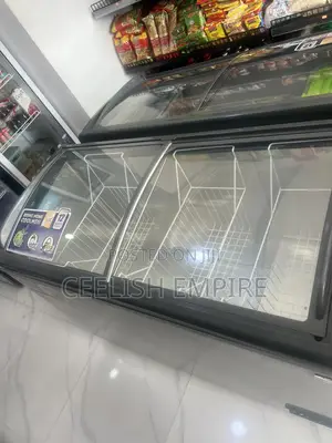 Display Freezer 405