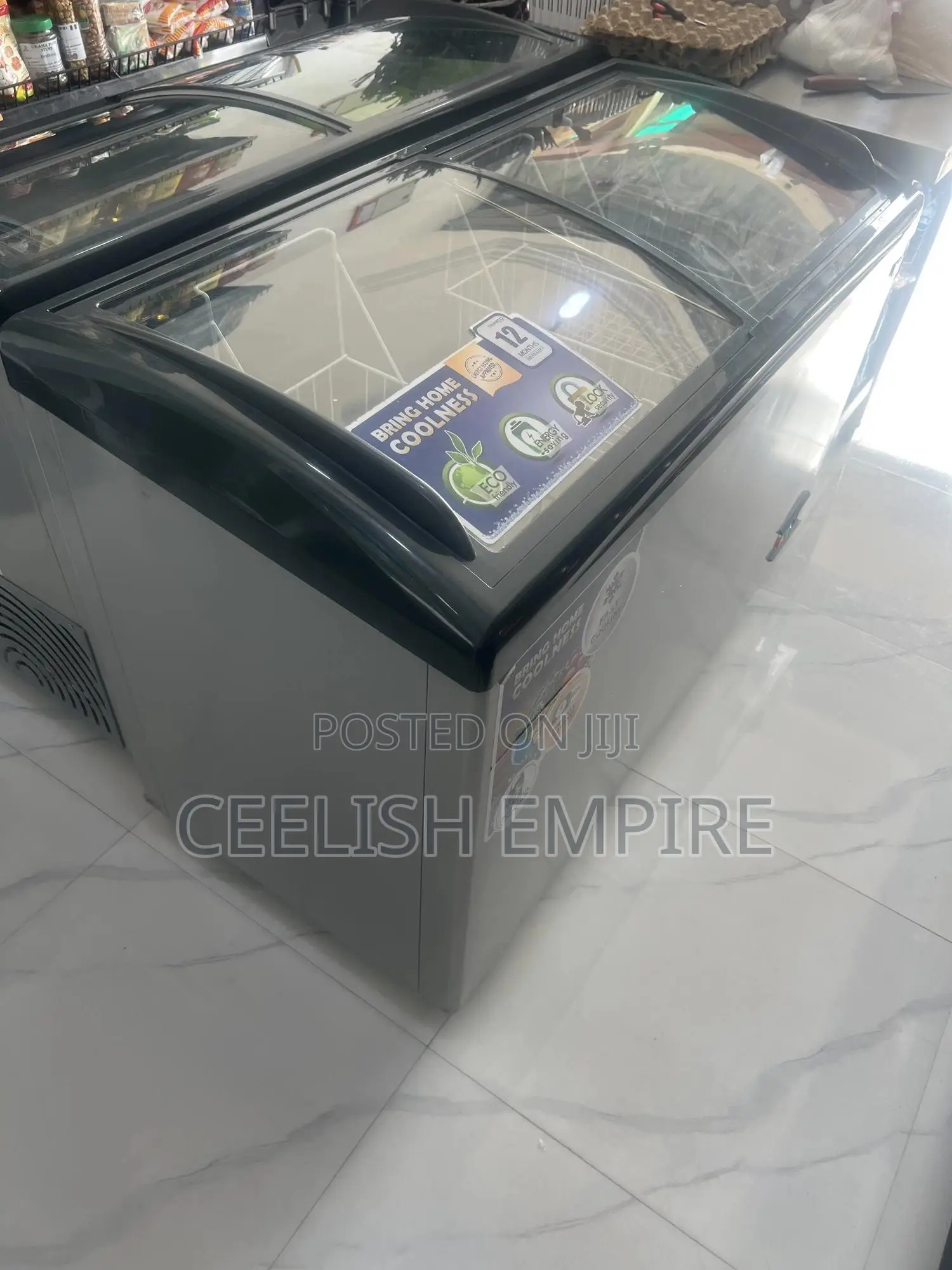Display Freezer 405