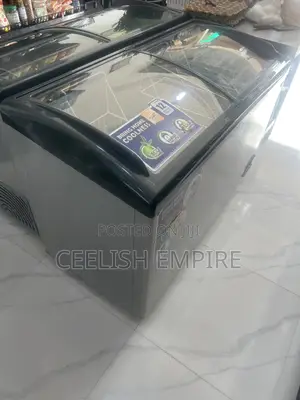Display Freezer 405