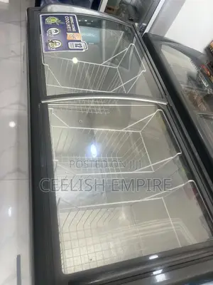 Display Freezer 405