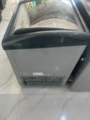 Display Freezer 405