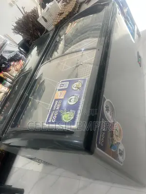 Display Freezer 405