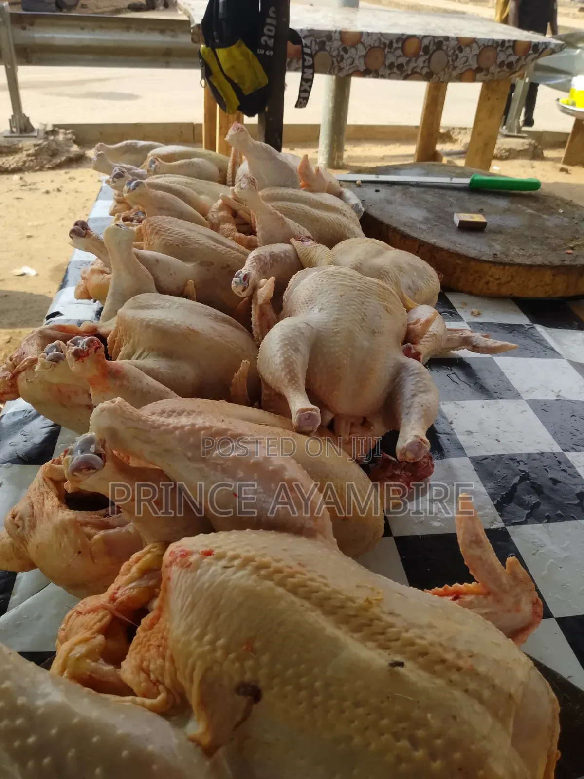 Live Chicken Layers for Sale
