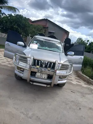 Toyota Land Cruiser Prado 2010 Silver
