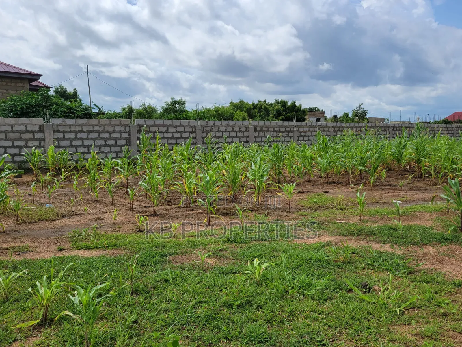 1 Acre Land for Sale