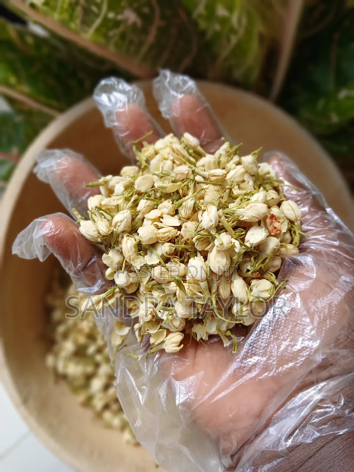Jasmine Buds 30g