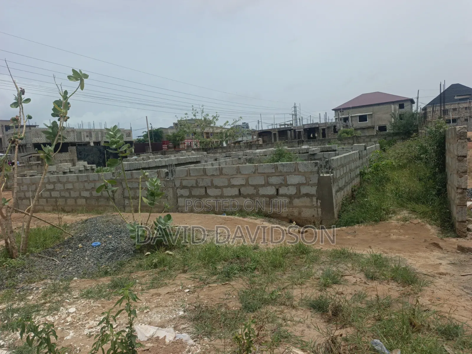 A Plot at Lashibi Ever