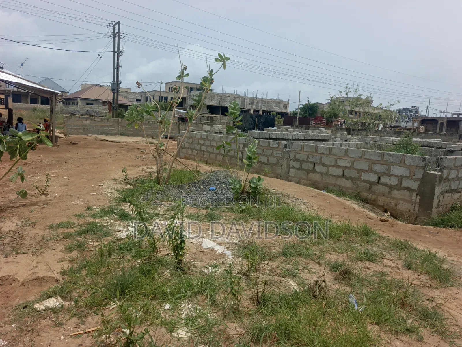 A Plot at Lashibi Ever