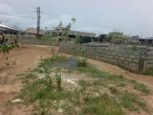 A Plot at Lashibi Ever
