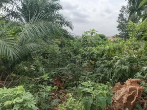 Plot for Sale at Atonsu Kuwait