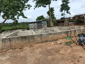 Fish Farm for Sale at Nyinahin ( Abuakwa/ Bibiani Road)