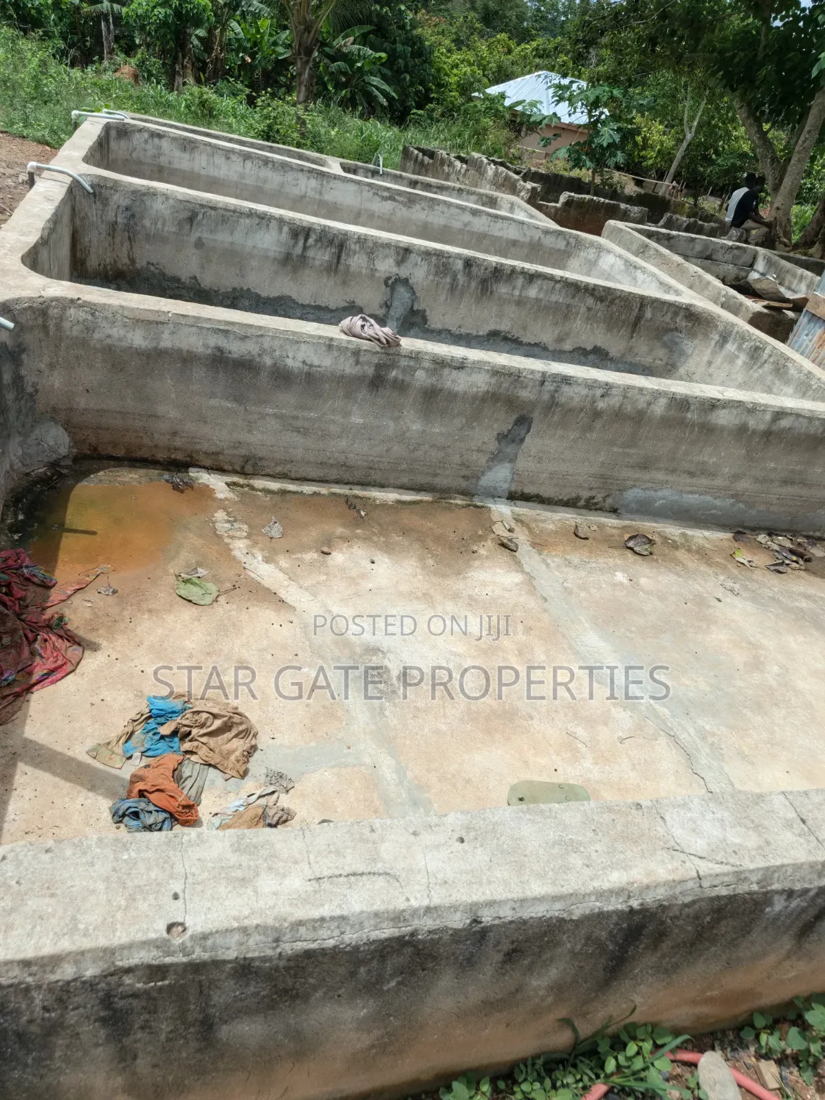 Fish Farm for Sale at Nyinahin ( Abuakwa/ Bibiani Road)