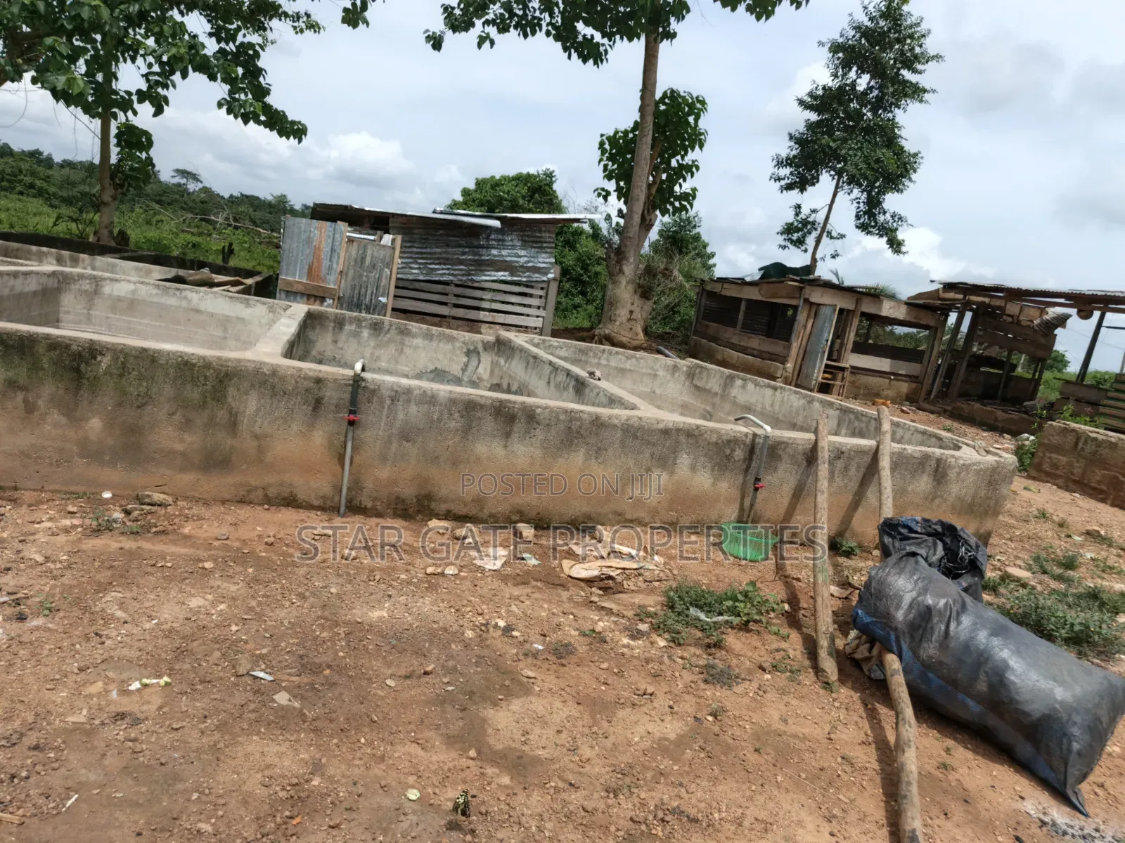 Fish Farm for Sale at Nyinahin ( Abuakwa/ Bibiani Road)
