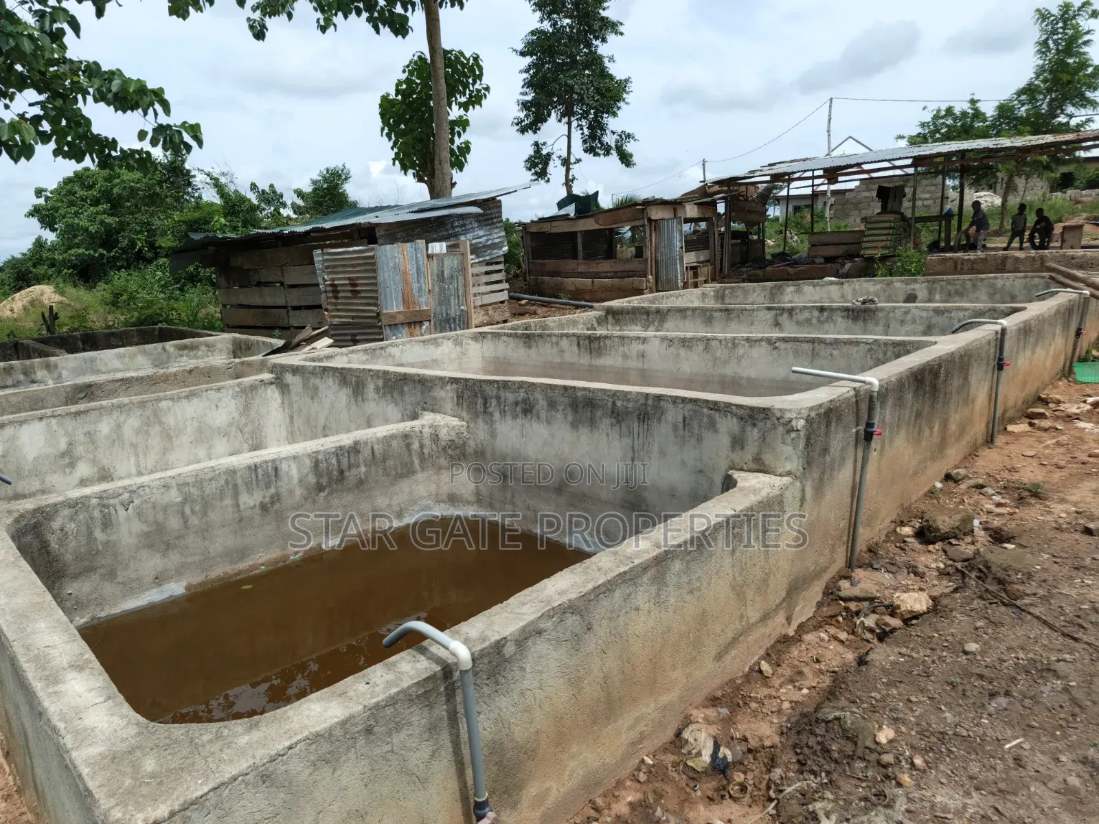 Fish Farm for Sale at Nyinahin ( Abuakwa/ Bibiani Road)