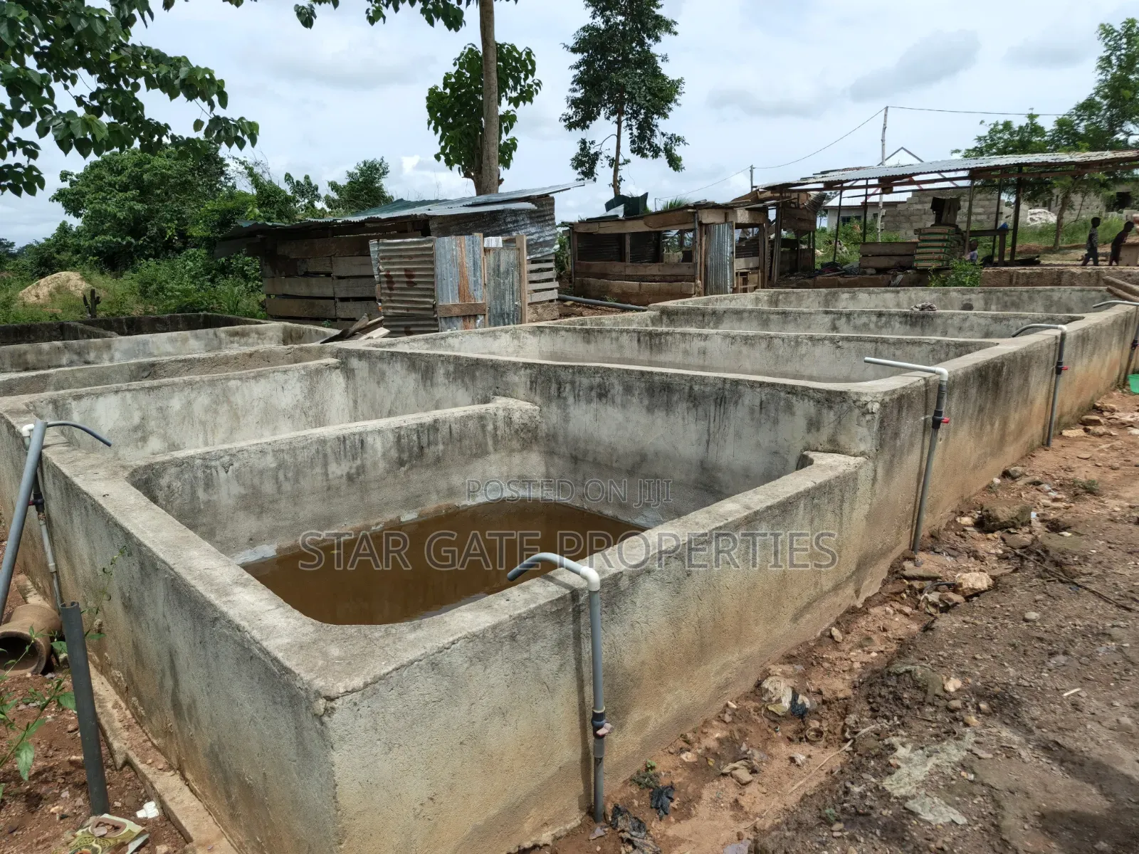 Fish Farm for Sale at Nyinahin ( Abuakwa/ Bibiani Road)