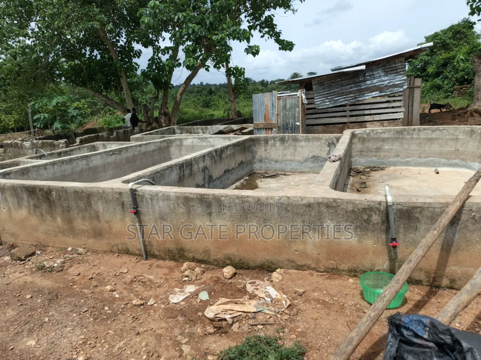 Fish Farm for Sale at Nyinahin ( Abuakwa/ Bibiani Road)