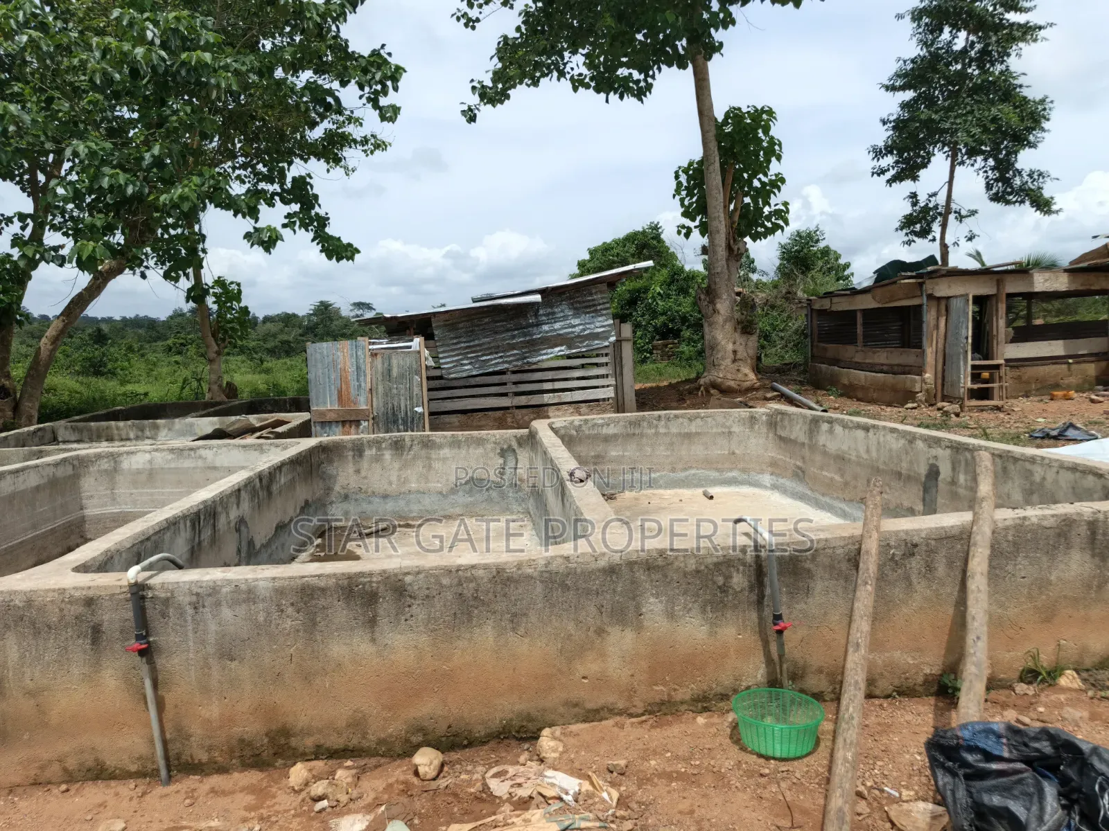 Fish Farm for Sale at Nyinahin ( Abuakwa/ Bibiani Road)
