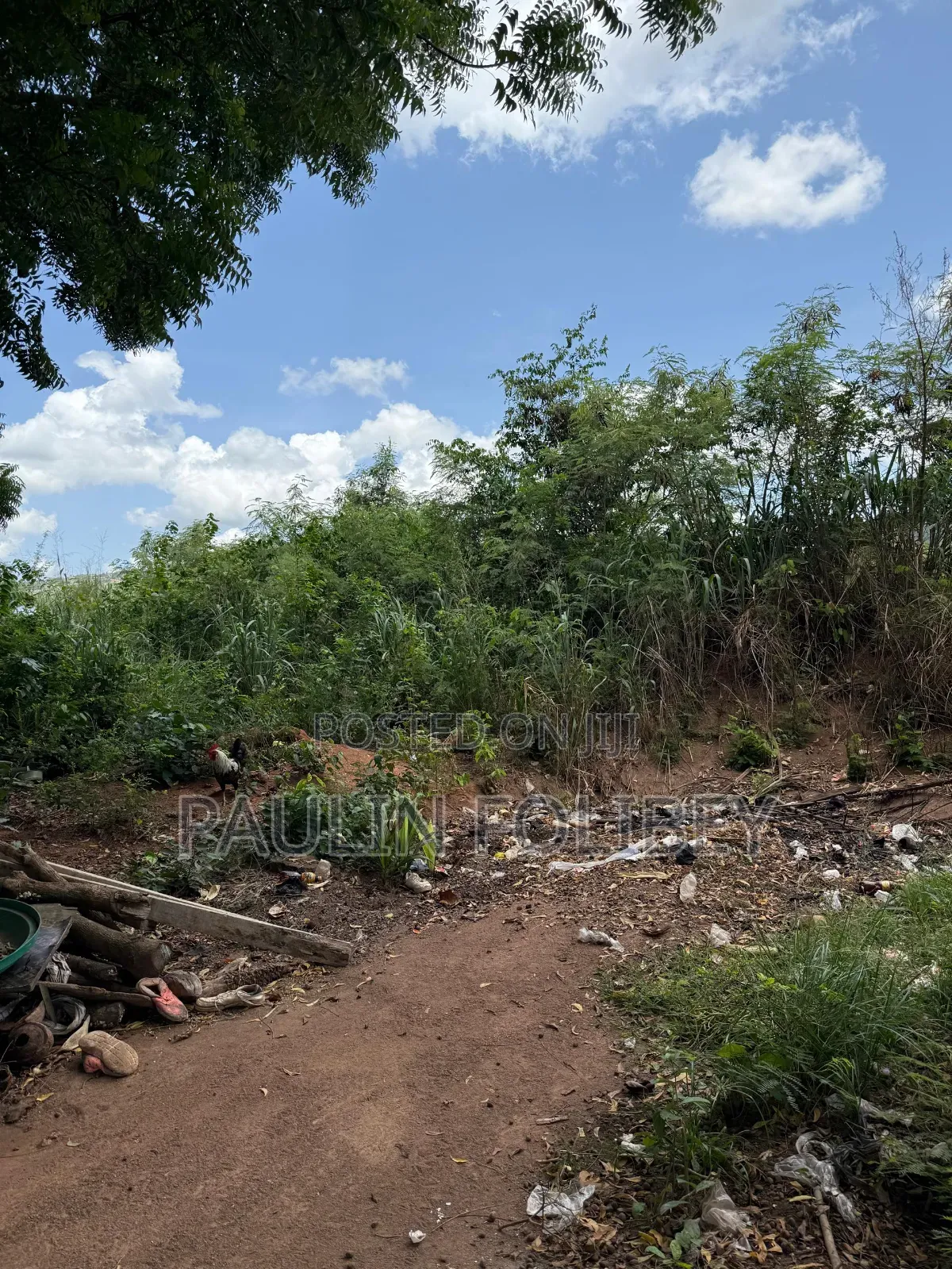 Land for Sale at Danfa -Oyarifa