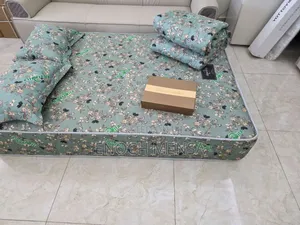 Double 10 Inches Mattress With Pillow