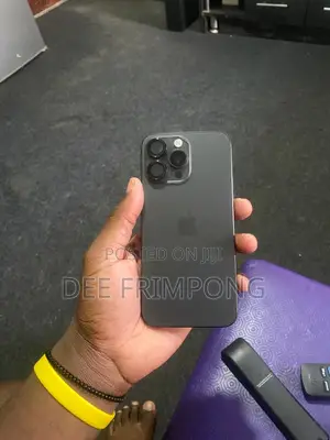 Apple iPhone 15 Pro Max 256 GB Gray