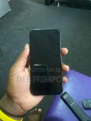 Apple iPhone 15 Pro Max 256 GB Gray