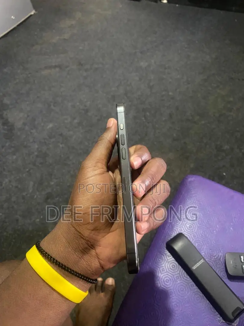 Apple iPhone 15 Pro Max 256 GB Gray