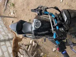 Kawasaki 2014 Black