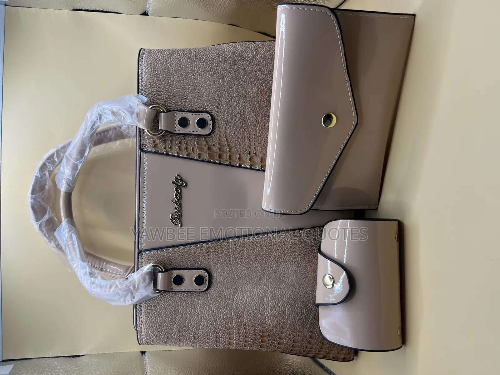 3 in One Ladies Bags