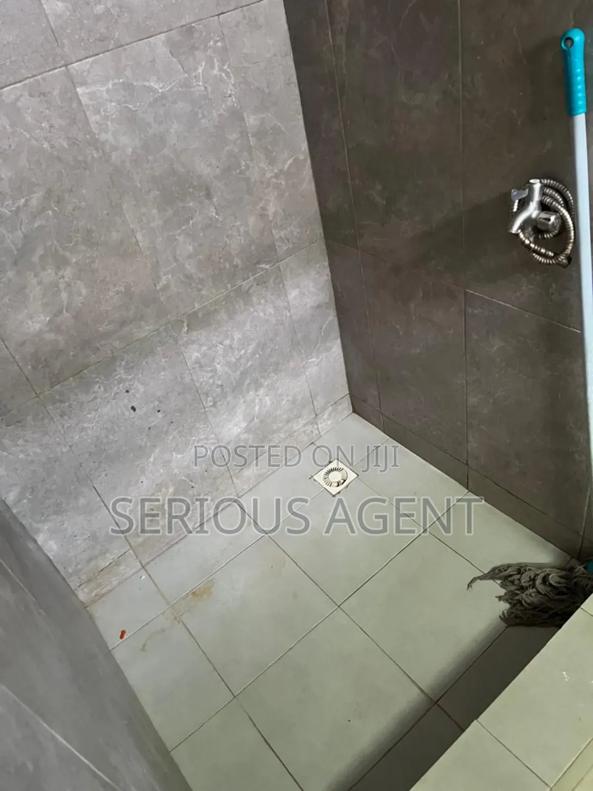 1bdrm Apartment in Lomnava, Last Stop for rent