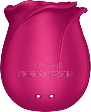 Satisfyer Pro 2 Classic Blossom Rosetoy Vibrator
