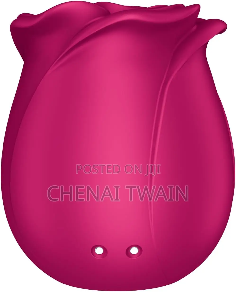 Satisfyer Pro 2 Classic Blossom Rosetoy Vibrator