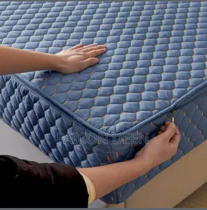 One Purchase Long Time Protection (All Round Zipper Mattress Protector
