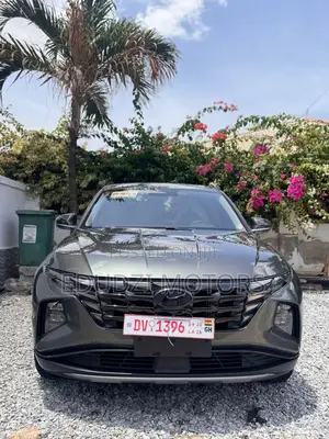 Hyundai Tucson Limited 2022 Gray