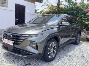 Hyundai Tucson Limited 2022 Gray