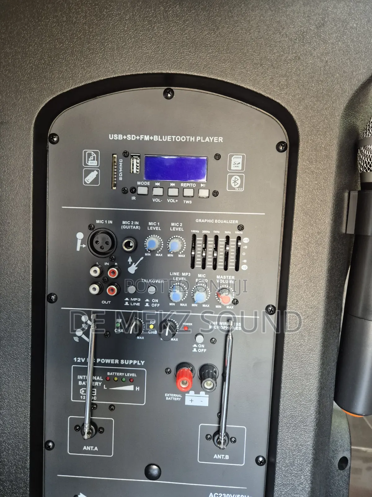 Professional Amplified Speaker
