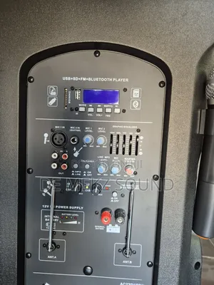 Professional Amplified Speaker