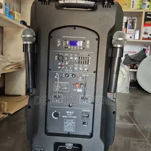 Professional Amplified Speaker