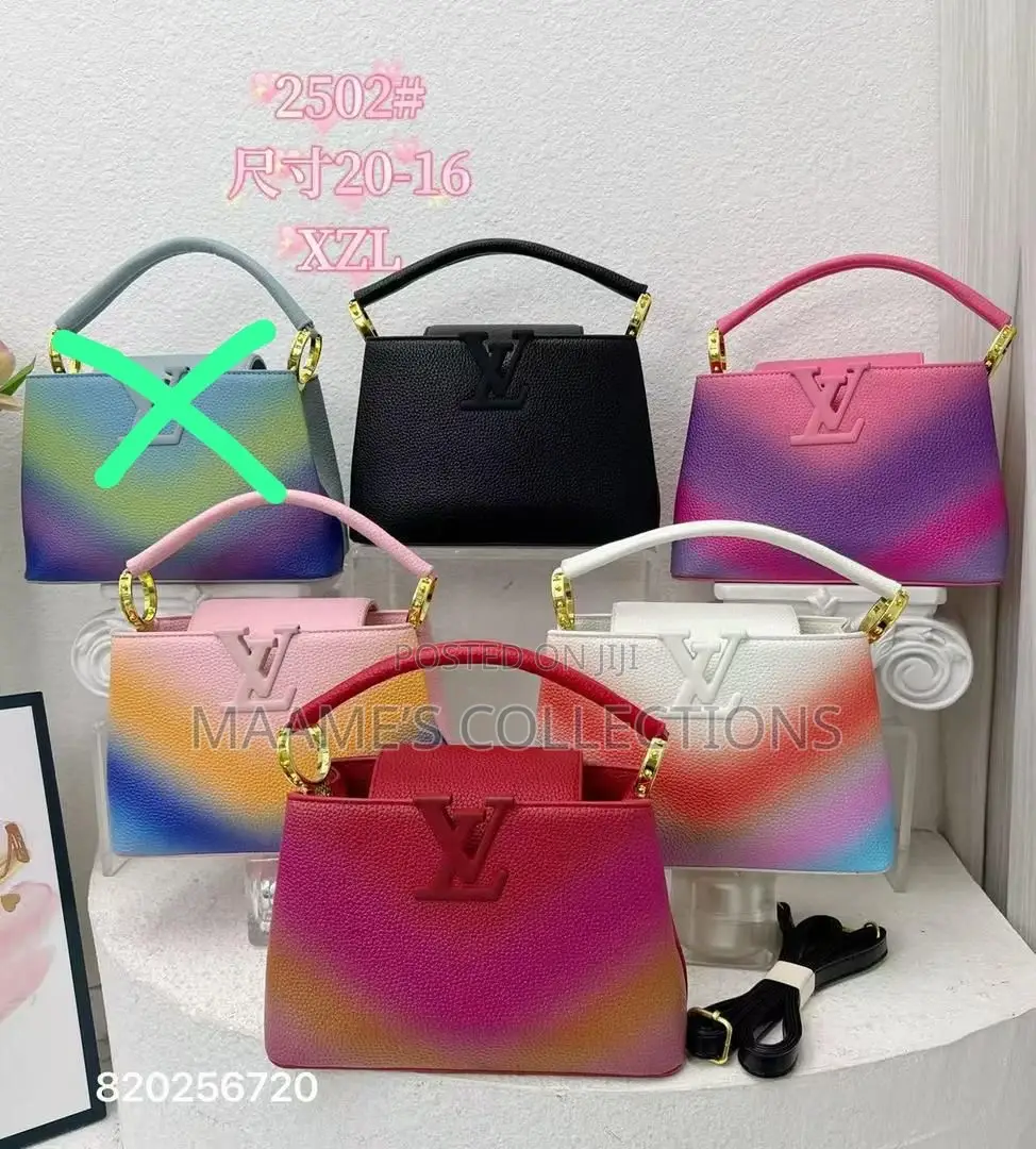 Louis Vuitton Party Bangle Bags ( In A Box)
