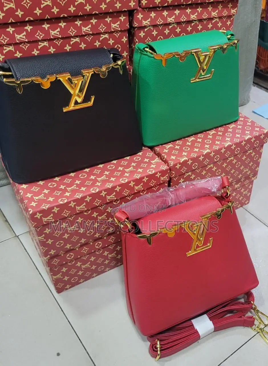 Louis Vuitton Party Bangle Bags ( In A Box)