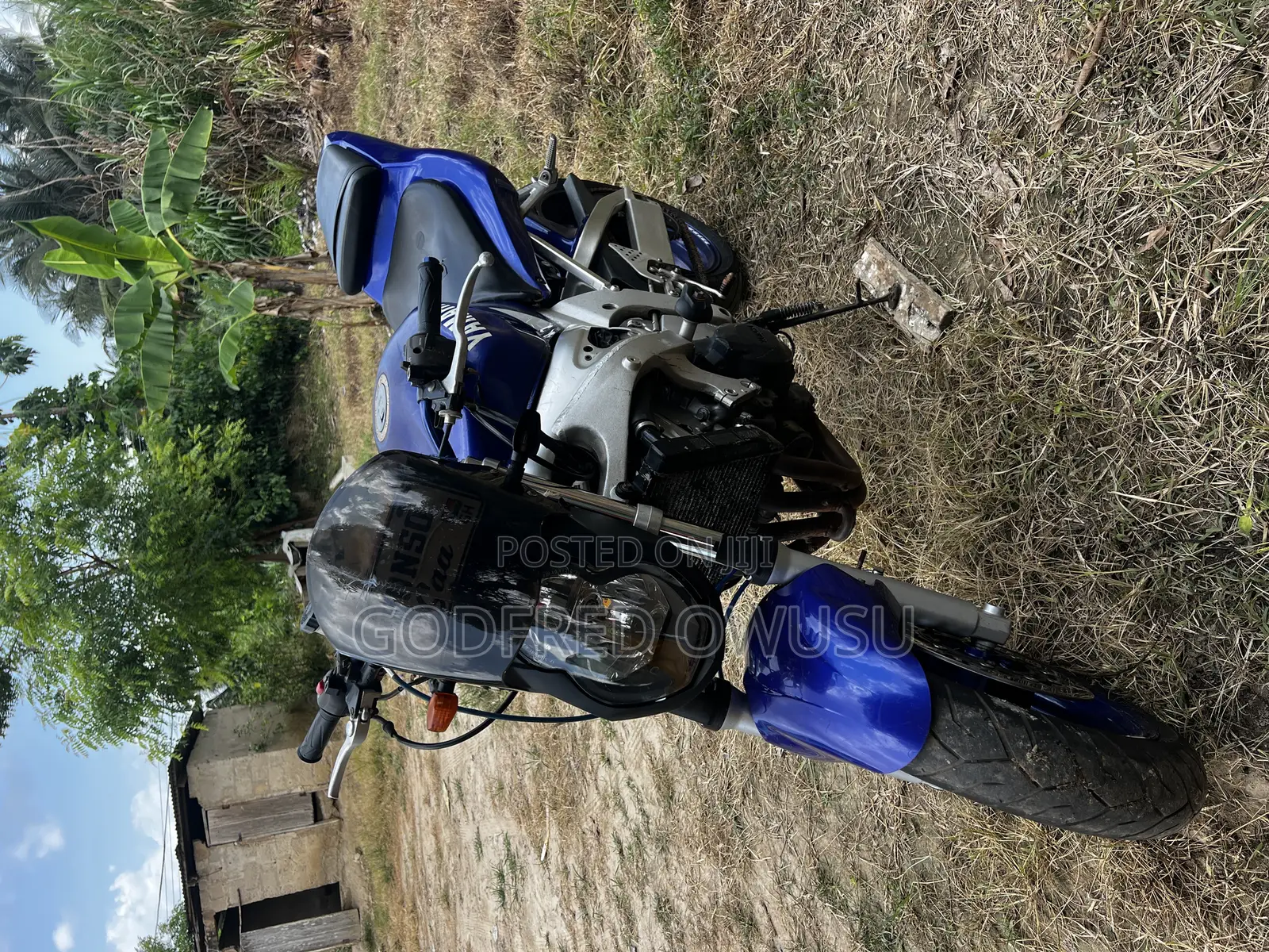 Yamaha 2010 Blue