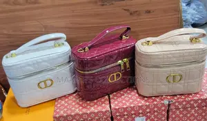 Dior Caro Mini Vanity Case Bag