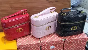 Dior Caro Mini Vanity Case Bag