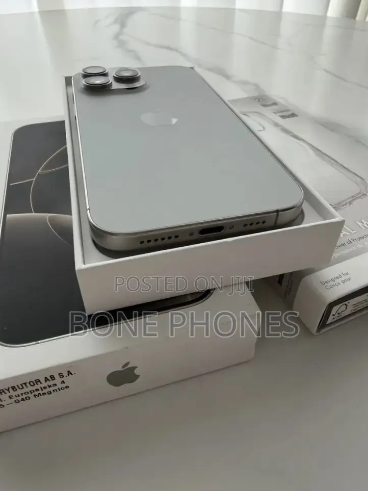 Apple iPhone 16 Pro Max 256 GB Silver