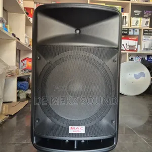 Professional Amplified Speaker