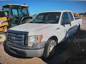 Ford F-150 2010 White