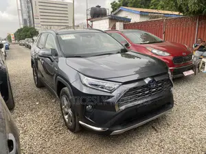 Toyota RAV4 Hybrid 2020 Gray