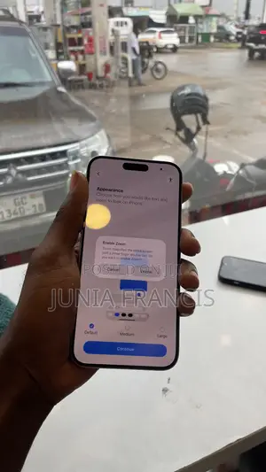 Apple iPhone 15 Pro Max 256 GB Silver
