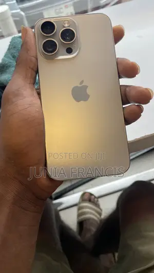 Apple iPhone 15 Pro Max 256 GB Silver